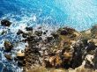 Dangerous coast