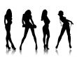  beautiful girls silhouettes