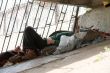 homeless person