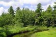 Stoney Creek