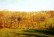 old-fashioned landscape