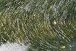 water surface