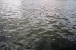 water surface