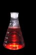 Laboratory Beaker