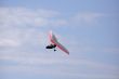 hang-glider