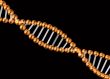 3d genetic code