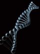3d genetic code