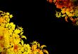floral style backgrounds frame