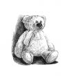 toy bear