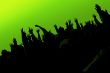 Crowd on the concert green