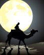 Camel in desert