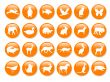 Orange icons with animals silhouettes