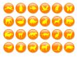 Orange icons with yellow animal shapes,vector,pet