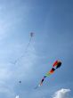 Three Kites