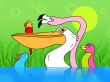 Birds in water