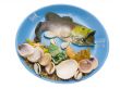 Fish on plate with shells