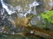 Wet sea stones