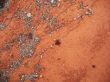 red sand texture