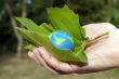 eco friendly