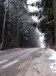 road in winter forest
