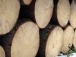 wooden background