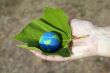 preserve the environment