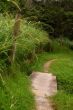Get on the path