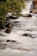 Rapid Stream