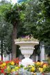 Flower-bed
