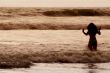 Wading