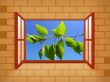 Green leaves in the window