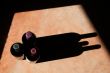 Wine Bottles with Dramatic Shadow