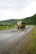 Wet road in the mountains