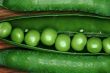 Green pea