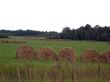 swaths