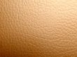 Light leather texture