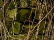 Old stones