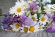 Flowers bouquet