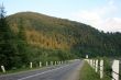Road in the mountains