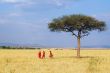 Maasai at walk.