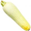 squash