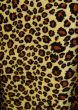 Leopard pattern