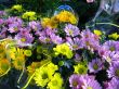 Flowers bouquet