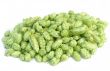 pile of hops