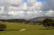 Farmland in the Lake District