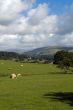 Farmland in the Lake District