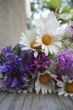 Flowers bouquet