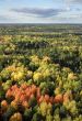 Autumn taiga