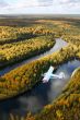 airplane over forest