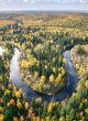 Autumn forest